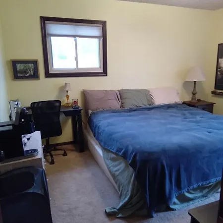 Outdoor Hot Tub And Cozy King Bed Apartment Lansing Exterior photo
